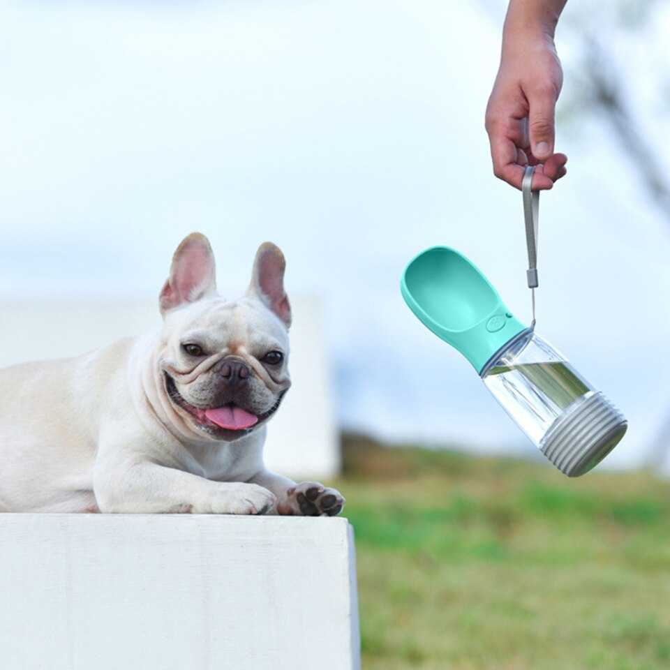 בקבוק מים ומזון לכלבים 4 בקבוק מים ומזון לכלבים