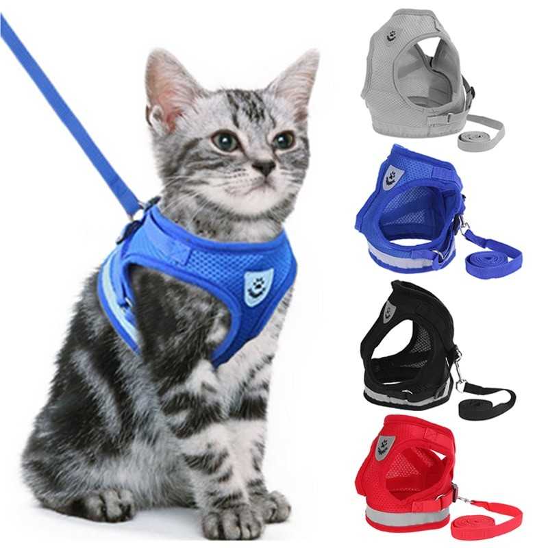 רתמת רשת עם רצועה תכלת