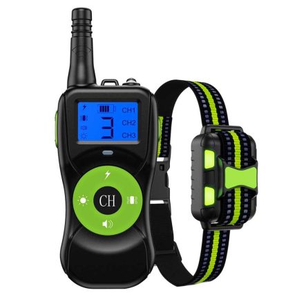 קולר אימון לכלבים