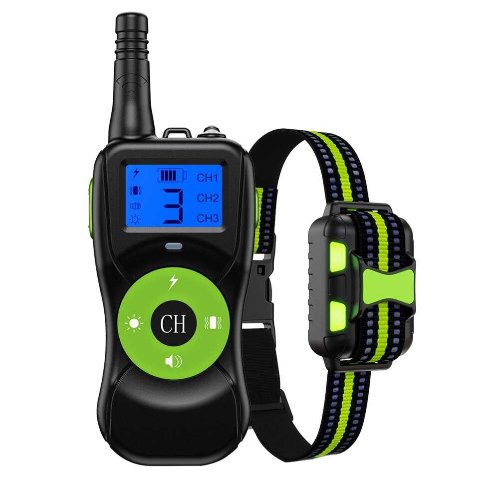 קולר אימון לכלבים