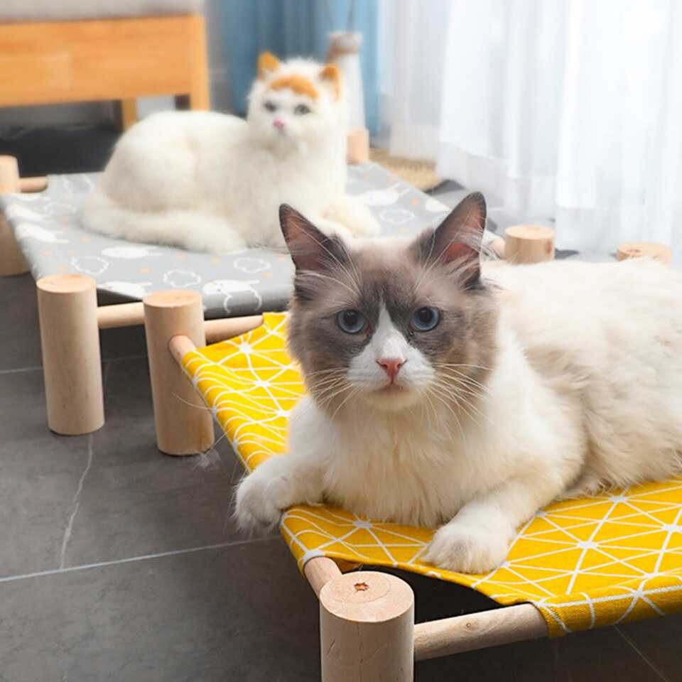 ערסל מתקפל לחתול 4 ערסל מתקפל לחתול