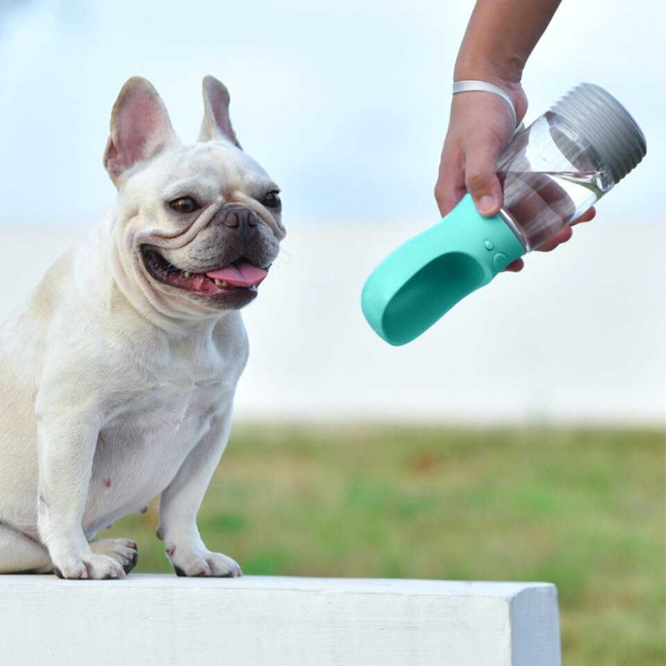 בקבוק מים ומזון לכלבים 5 בקבוק מים ומזון לכלבים