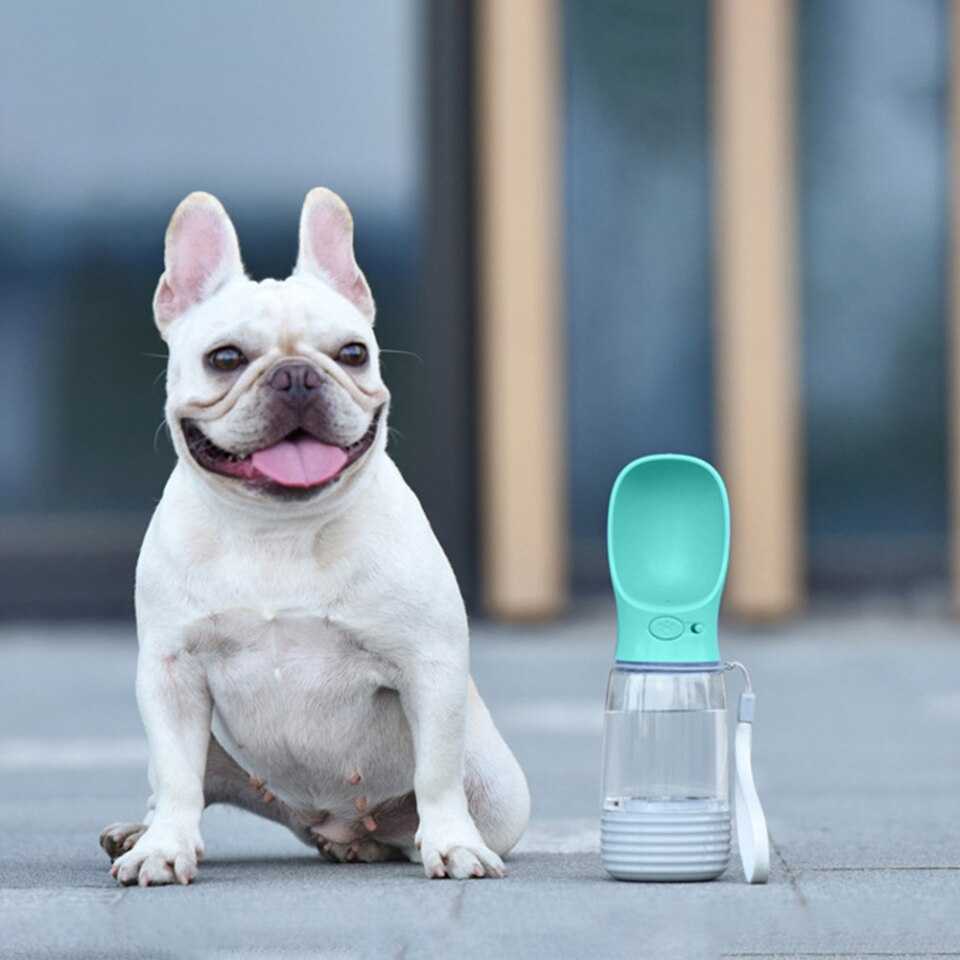 בקבוק מים ומזון לכלבים 3 בקבוק מים ומזון לכלבים